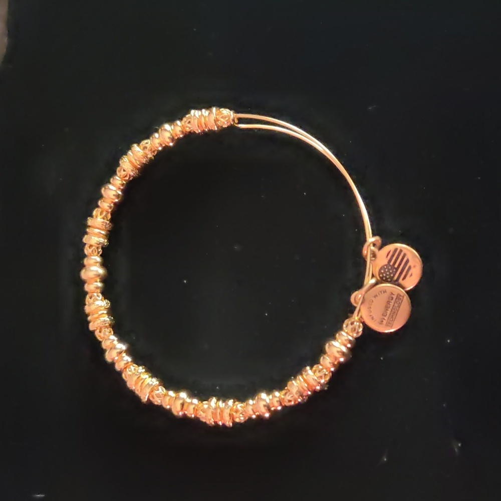 Alex and Ani Woman's Gold Tone Nile Bracelet